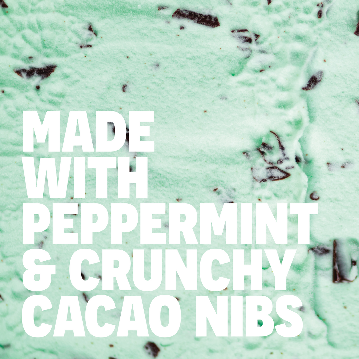 Mint Chocolate Chip