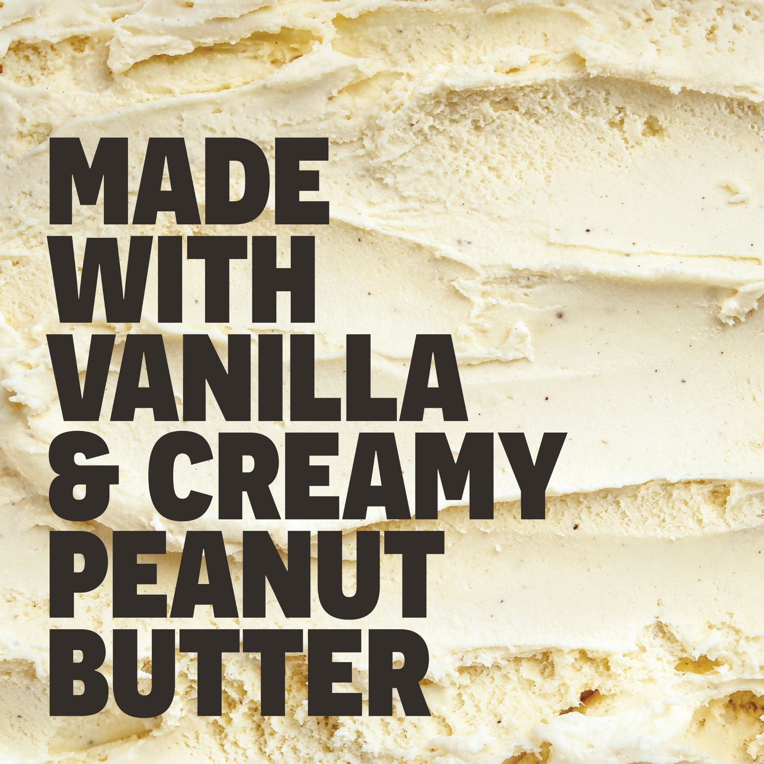 Vanilla Bean