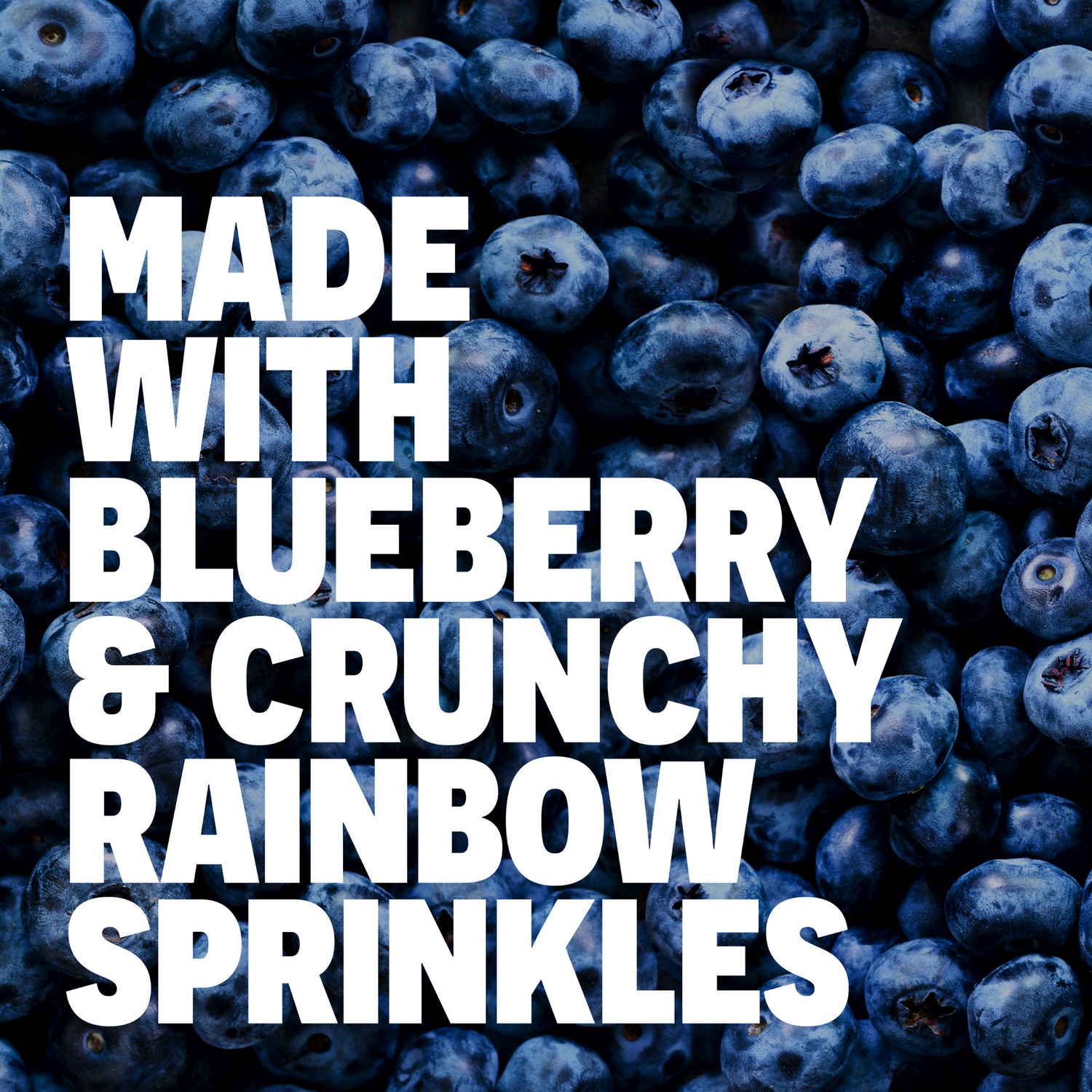 Blueberry Dream